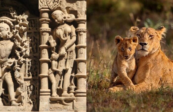 Gujarat Wildlife and Heritage Tour